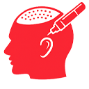 Bursa Saç Simülasyonu (SMP)